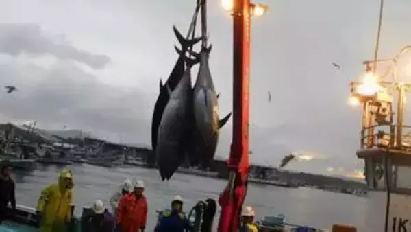 クロマグロ漁獲枠25%増で合意 反対していたメキシコが賛成に転じる　鈴木農水大臣「前進があった」