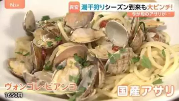 シーズン到来も国産アサリ激減で潮干狩りピンチ！「多くの人に楽しんでもらいたい」 潮干狩り場では別の産地の貝を撒いて対策も！？