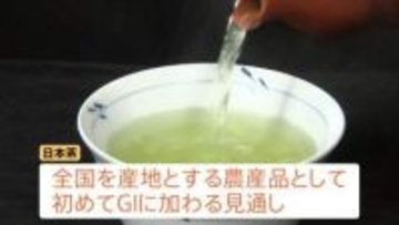 「日本茶」をGIに追加登録の見通し　海外の模倣品排除へ 抹茶ブームめぐる外国産との競争激化で