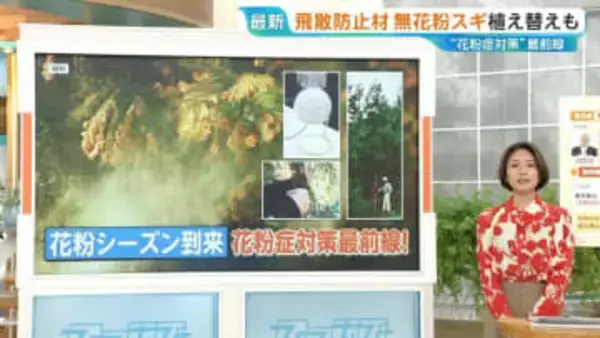 東京都「無花粉スギ」で花粉ゼロに？2030年には年間10万本の苗木の生産へ【ひるおび】