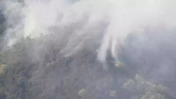 佐野市の山林火災は「鎮圧」　これまでに約2.6ヘクタール焼失　建物火災の火が裏山に燃え広がって発生　栃木県佐野市