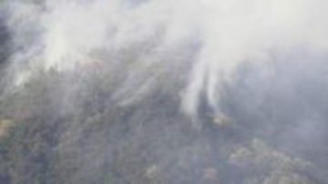 佐野市の山林火災は「鎮圧」　これまでに約2.6ヘクタール焼失　建物火災の火が裏山に燃え広がって発生　栃木県佐野市