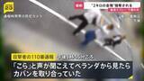 「路上で揉み合い金塊2キロ強奪…防犯カメラが捉えた緊迫の瞬間　八王子の貸金庫では現金4億円が盗まれる【news23】」の画像1