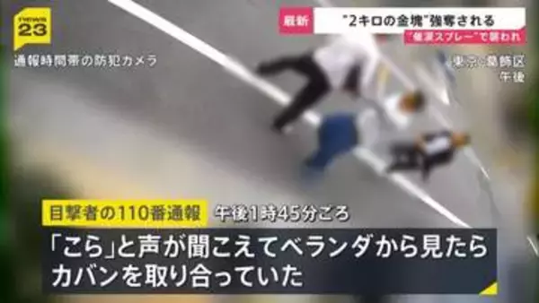 路上で揉み合い金塊2キロ強奪…防犯カメラが捉えた緊迫の瞬間　八王子の貸金庫では現金4億円が盗まれる【news23】