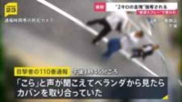 路上で揉み合い金塊2キロ強奪…防犯カメラが捉えた緊迫の瞬間　八王子の貸金庫では現金4億円が盗まれる【news23】