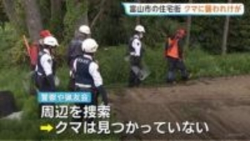 顔や頭、首などに引っかき傷　犬の散歩中だった40代女性がクマに襲われる　富山県内での人身被害は今年初