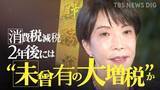 「食料品の消費税減税は“値上げの機会”か…「下げられない」商店の悲鳴と高市総理“見切り発車”に揺れる財務省　2年後には“未曾有の大増税”か」の画像1