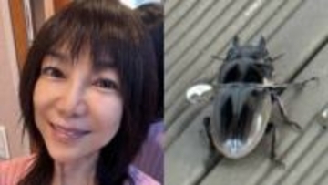 【 堀ちえみ 】　「クワガタに噛まれた！」「最近ではあまり見れないため、懐かしさのあまり、手に取ってしまいました」　鹿児島県・徳之島で