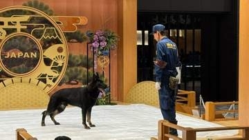 羽田空港で違法薬物に注意喚起　今月26日の「国際麻薬乱用撲滅デー」を前に