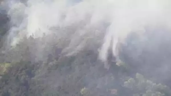 佐野市の山林火災　鎮圧のめど立たず　消火活動続く　建物火災の火が裏山に燃え広がる　栃木県佐野市