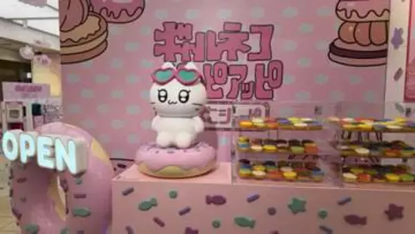 【今話題】ギャルに憧れるネコ「ギャルネコ」のポップアップ開催　開店3時間前に並ぶファンも