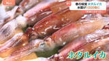 「“春の味覚”ホタルイカに異変　富山湾で不漁から一転1000倍に！ パスタに酢味噌に…あなたのオススメの食べ方は？」の画像1
