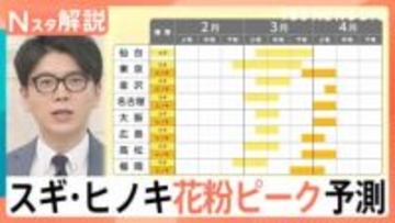 いまがピーク？都心はこれから？いつまで飛散？　スギ・ヒノキ花粉ピーク予測【Nスタ解説】