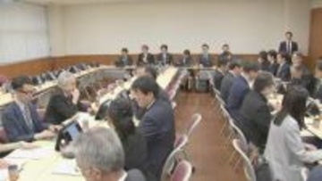 自民党が政府に対応要請　米企業の新型AIモデルに金融システム攻撃懸念