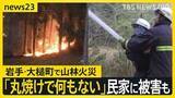 「岩手・大槌町の山林火災　早朝から消火活動も“鎮火のめど”立たず…民家1棟を含む7棟の建物に被害 「丸焼け何もない」住民が語る悲痛な思い…【news23】」の画像1