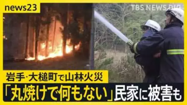 岩手・大槌町の山林火災　早朝から消火活動も“鎮火のめど”立たず…民家1棟を含む7棟の建物に被害 「丸焼け何もない」住民が語る悲痛な思い…【news23】