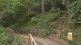 「東京・杉並区「善福寺公園」で高さ30ｍのクヌギが倒木　去年5月の点検で“異常な音がする”として経過観察中　けが人なし」の画像1
