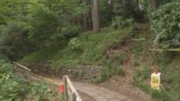 東京・杉並区「善福寺公園」で高さ30ｍのクヌギが倒木　2月の点検で「要注意」と判断　けが人なし