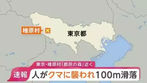 【速報】「コグマに襲われて100mほど滑落し足をけがしている人がいる」東京・檜原村「都民の森」付近で通報 1人けが 警視庁などが救助活動中