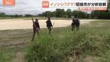 「公園に“大きなフン” 幅20cm、高さ10cm未満　専門家「クマの可能性捨てきれず」 東京・昭島市は外部機関に分析依頼　警視庁や猟友会は現場周辺を見回り」の画像1