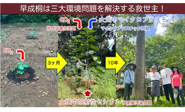 「海洋じゃない？大気中マイクロプラスチックを知ってますか？」の画像