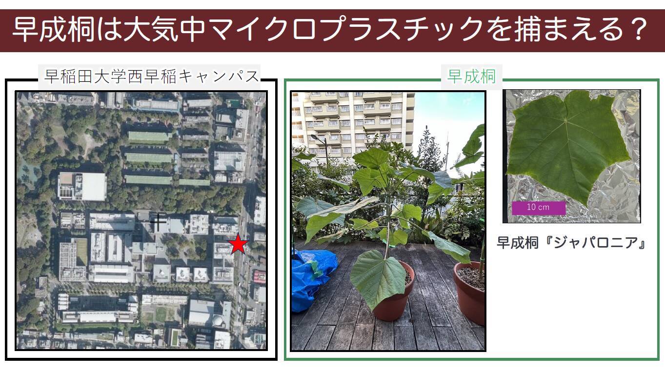 海洋じゃない？大気中マイクロプラスチックを知ってますか？