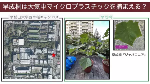 「海洋じゃない？大気中マイクロプラスチックを知ってますか？」の画像