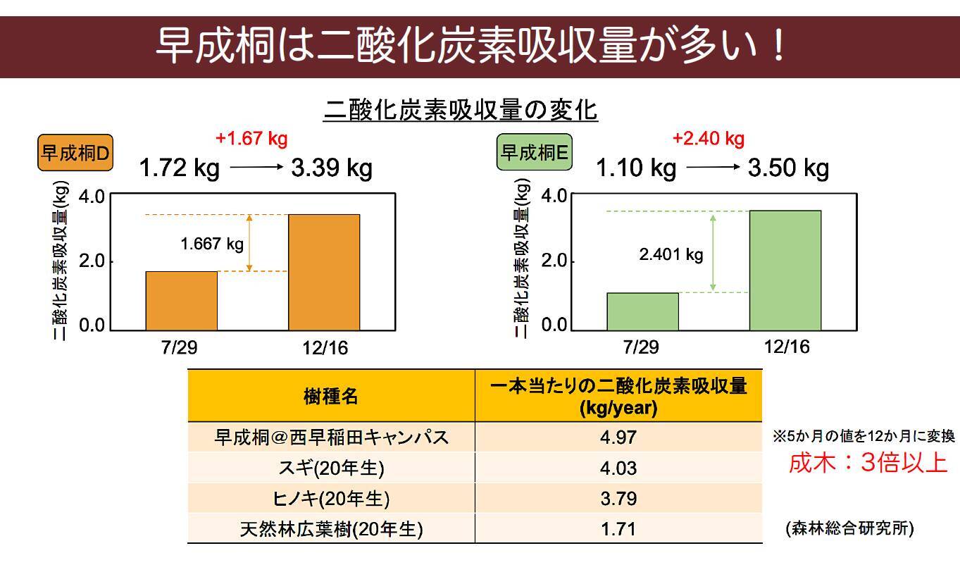 海洋じゃない？大気中マイクロプラスチックを知ってますか？