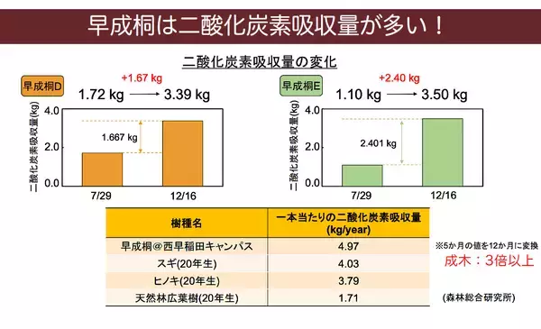 「海洋じゃない？大気中マイクロプラスチックを知ってますか？」の画像