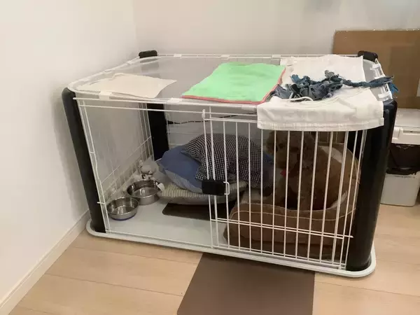 「保護犬・猫が一緒に暮らす障害者のグループホーム」の画像