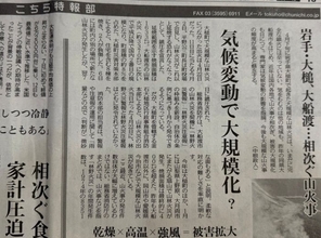 相次ぐ山火事、気候変動で大規模化!?