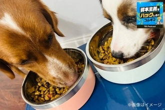 犬は12年で190万頭減、それでもペット市場が1.9兆円に伸びる理由