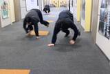 「TBSラジオの局内を四足歩行で走る！」の画像10