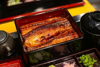 "世界初！完全養殖のウナギ販売"ウナギは、かば焼き派？白焼き派？