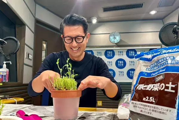 「秋の植え付けはまさに今！豆苗からサヤエンドウを作ろう！」の画像