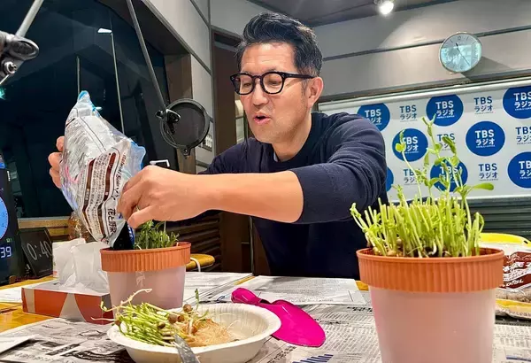 「秋の植え付けはまさに今！豆苗からサヤエンドウを作ろう！」の画像