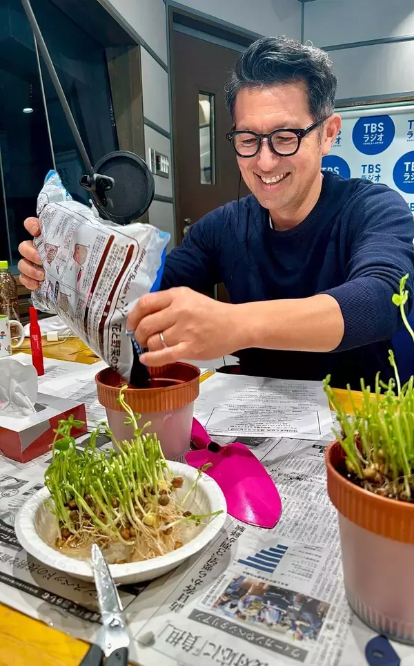 「秋の植え付けはまさに今！豆苗からサヤエンドウを作ろう！」の画像