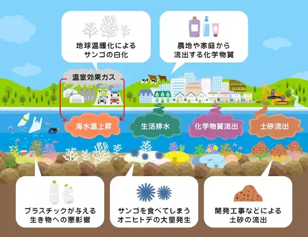 「サンゴ礁ウィーク！サンゴは意外と身近に。」の画像