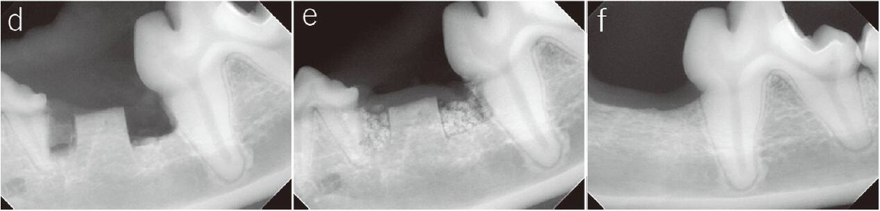 サンゴ礁ウィーク！サンゴは意外と身近に。