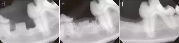 「サンゴ礁ウィーク！サンゴは意外と身近に。」の画像