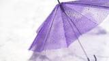 「梅雨前に考える　雨水タンクという備え」の画像1