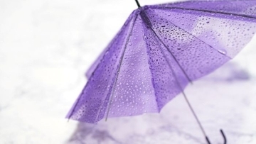 梅雨前に考える　雨水タンクという備え