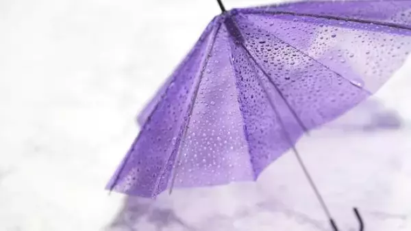 梅雨前に考える　雨水タンクという備え