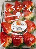 「今年はいちごの当たり年！きらぴ香,やよいひめ,あまりんなど6品種を食べ比べ」の画像7