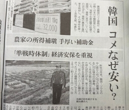 似た状況なのに、韓国、コメなぜ安い？