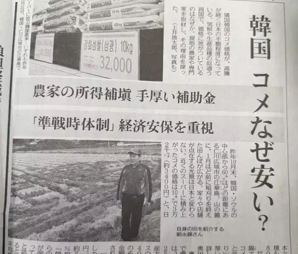 似た状況なのに、韓国、コメなぜ安い？