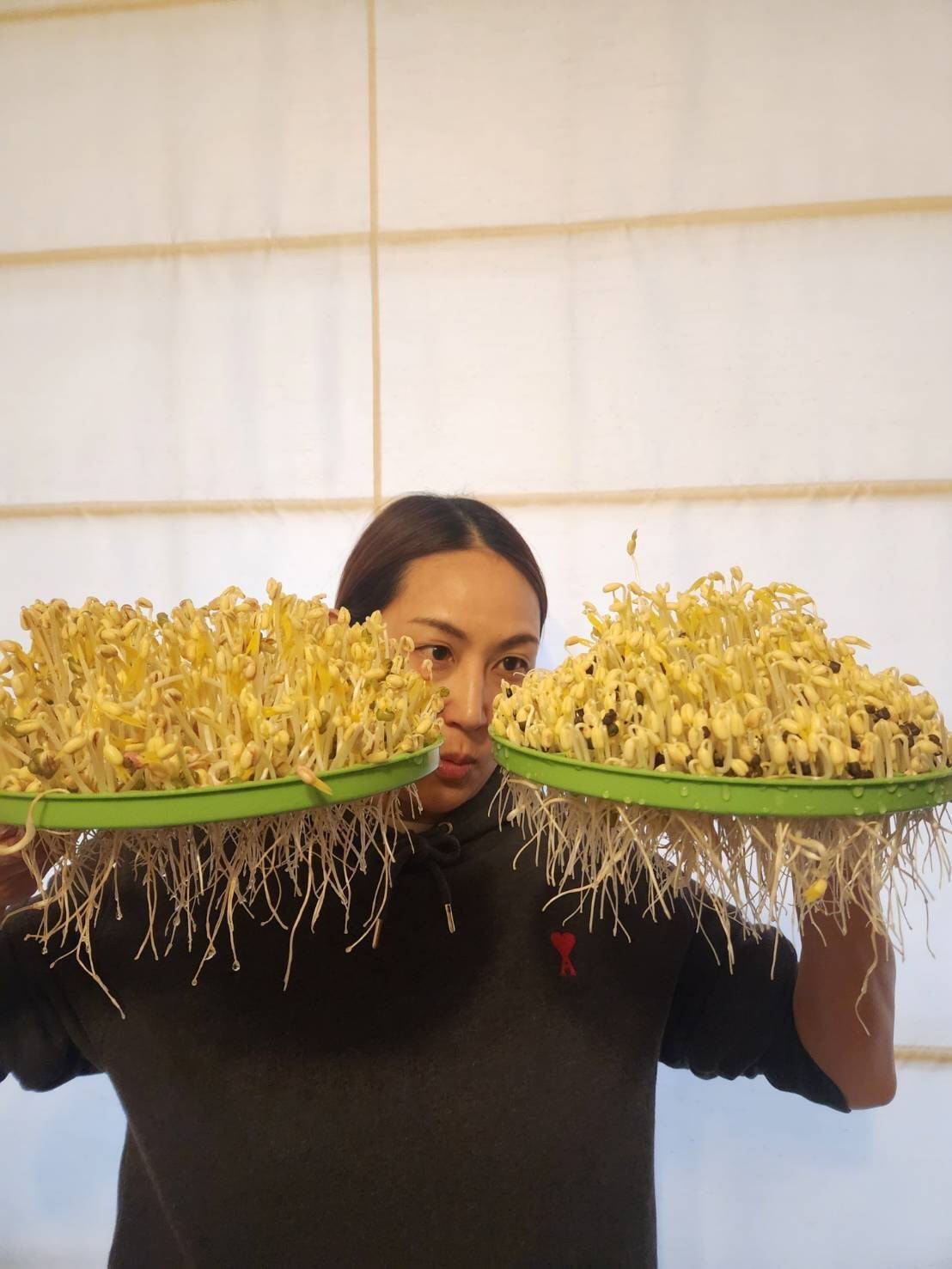 もやしは自宅で栽培できるのか、結果報告！ 山内あゆアナは大豊作！