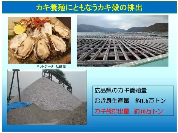 「深刻なカキ殻問題　未来の資源へ」の画像