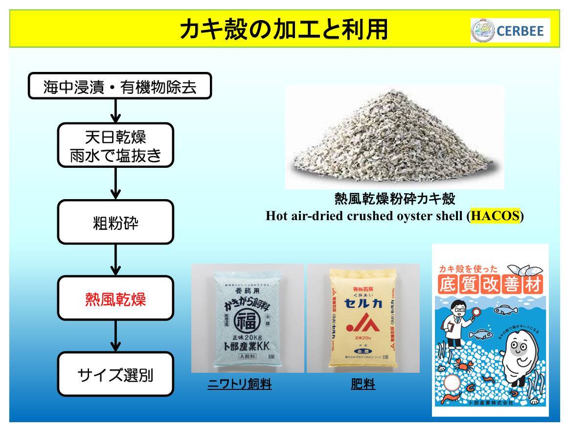 深刻なカキ殻問題　未来の資源へ