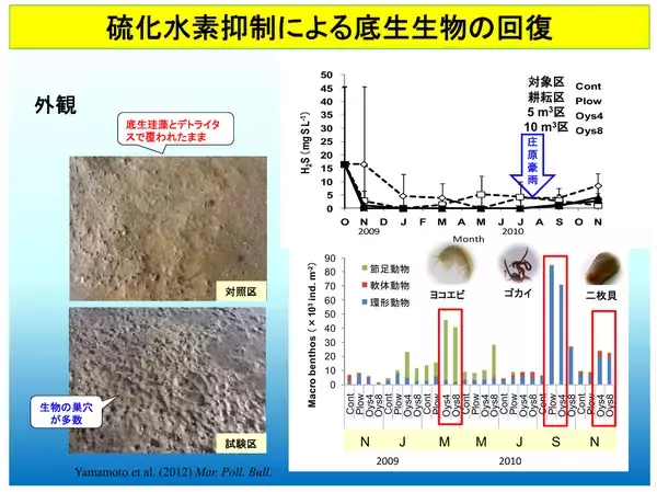「深刻なカキ殻問題　未来の資源へ」の画像